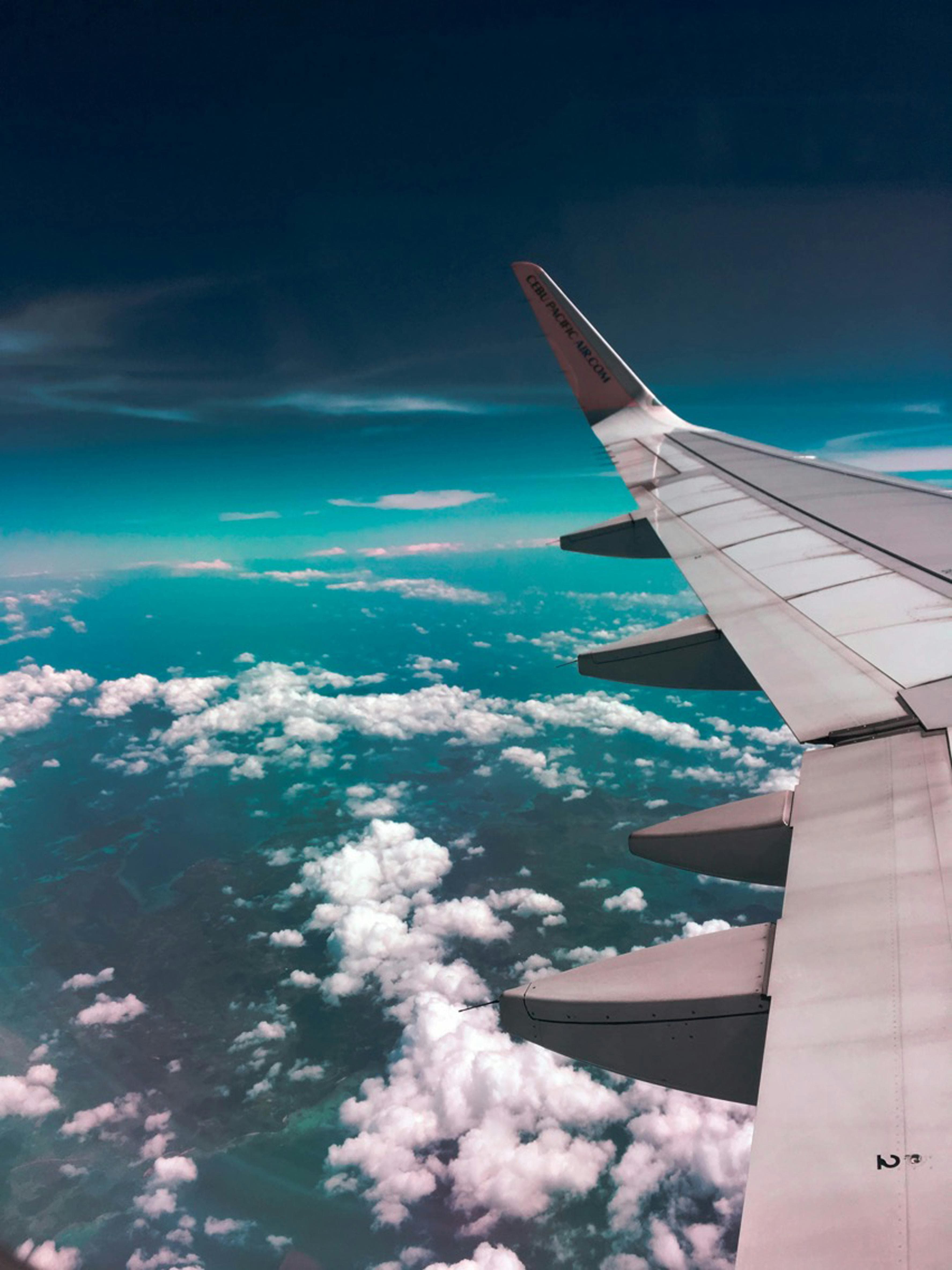 Airplane wing view